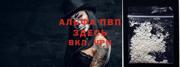 трава Корсаков