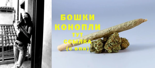 трава Корсаков