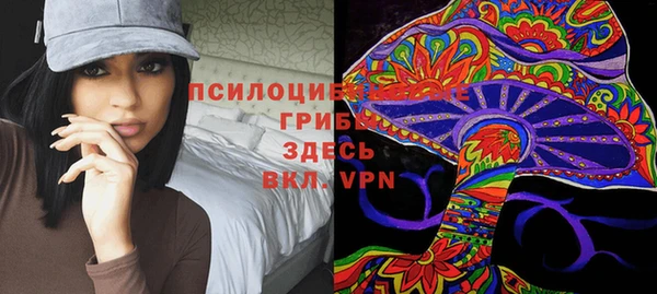 PSILOCYBIN Коряжма
