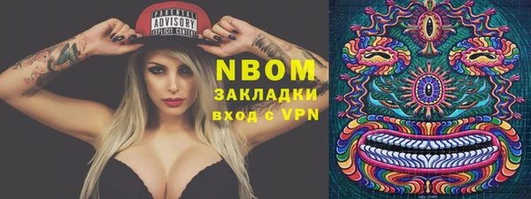 трава Корсаков