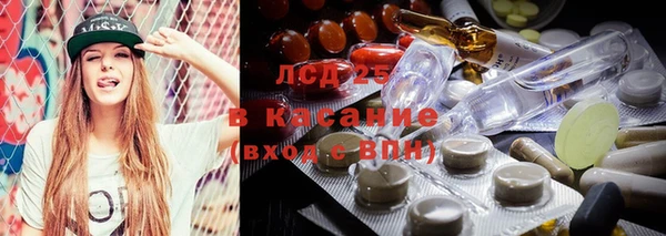 трава Корсаков