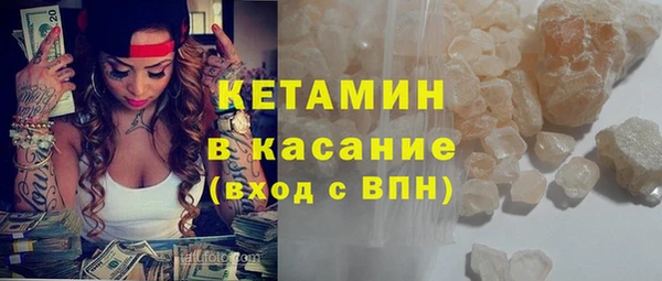 трава Корсаков
