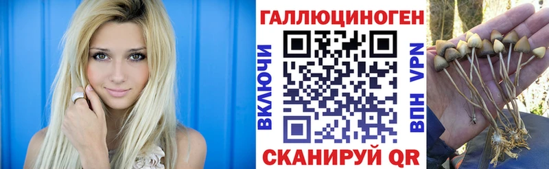 Псилоцибиновые грибы Magic Shrooms  Купить закладки  Югорск 